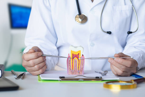 Best Pediatric Emergency Dentist in Colby, WI